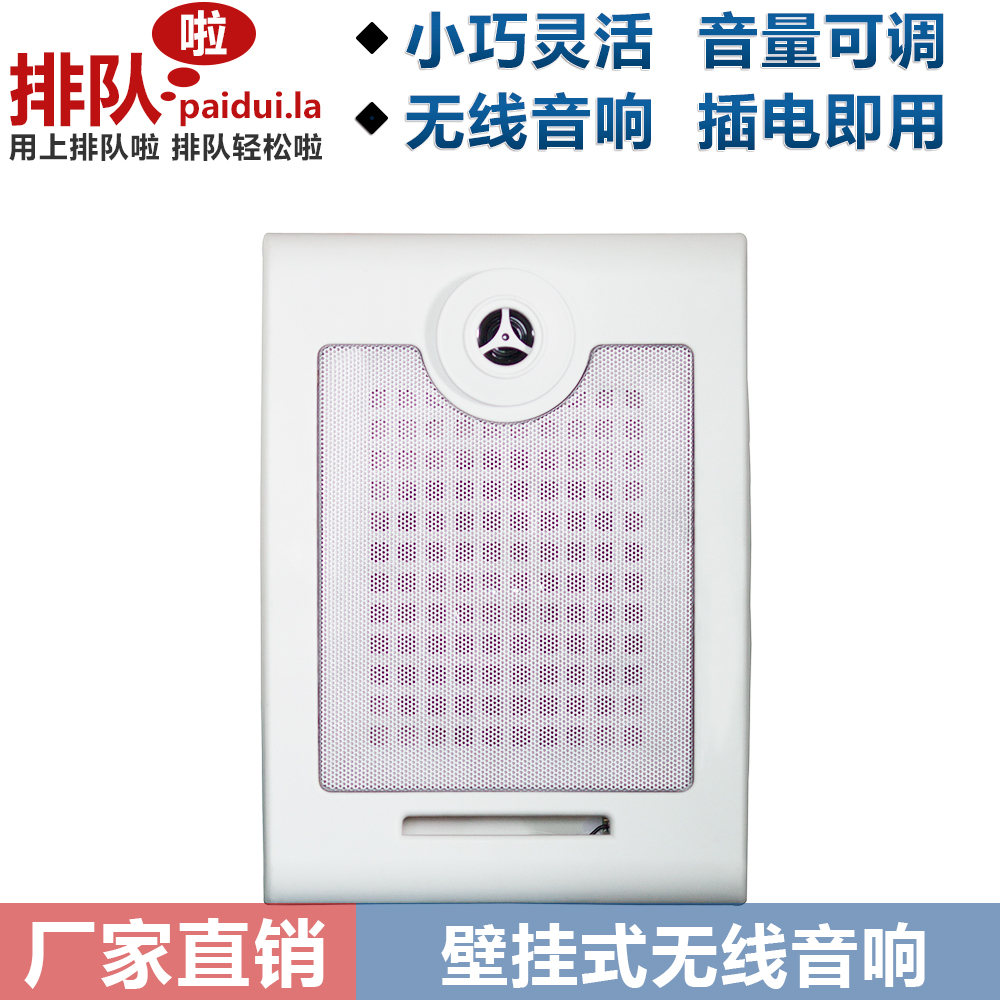 Wireless Wired Speaker Audio Speaker Transceiver Wall Mount Ceiling Queue] Queue Caller