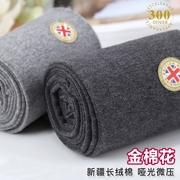 JA300D chải vàng cotton mờ áp lực mỏng cookpipe vớ xà cạp quần legging vớ chín quần