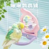 Sting Star Ball Parrot Mirror Toys Peony Jollying Продукты попугай