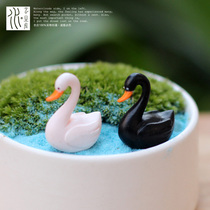 Black and white swan ornaments cute mini couple Swan micro landscape fleshy potted diy material decorations