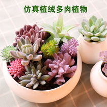 Simulated succulents small potted ornaments succulent plants fake flowers simulated meat and meat plants microscopic fake fleshy flower heads