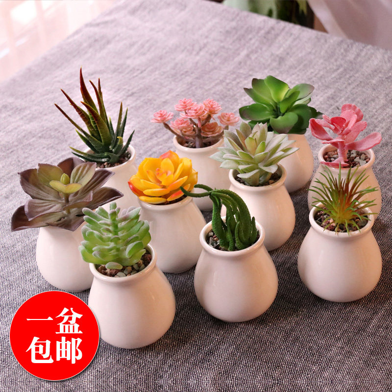 Nordic Emulation Plant Multi Meat Small Potted Bonsai Adornment Minimalist Home Living Room Personality Pendulum fake green plant 