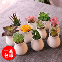 Nordic simulation plant fleshy small potted bonsai decorations simple home living room personality ornaments fake green plants