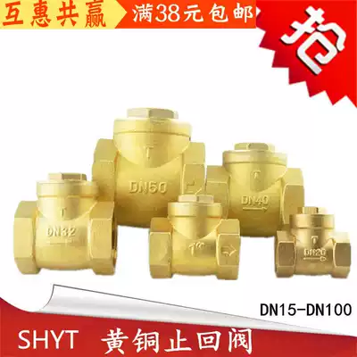 Pipe valve with brass double inner wire horizontal anti-backflow stop water check valve check valve DN15-DN100