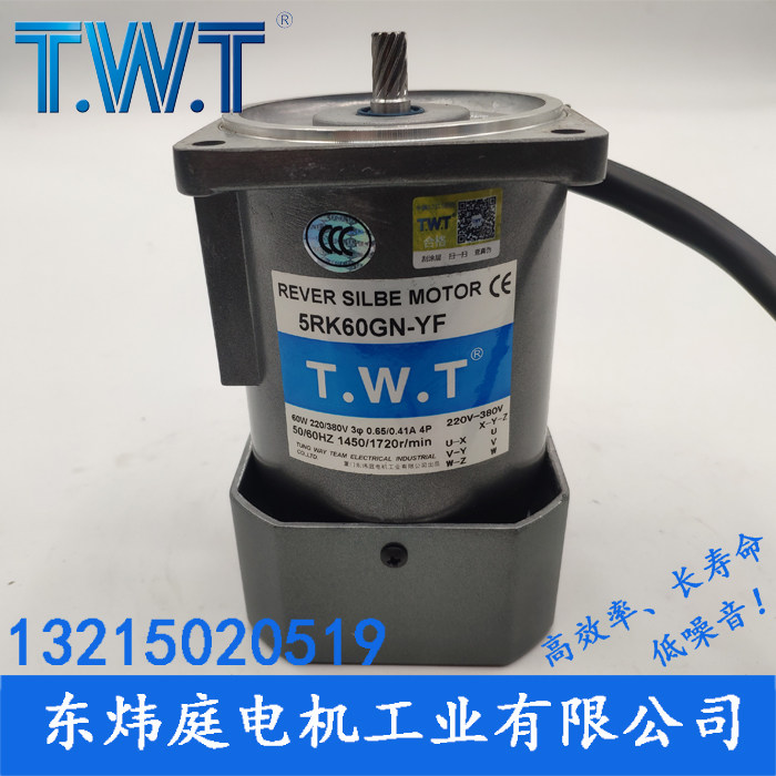 TWT motor 60W Three-phase motor 5IK60GN-YF 5IK60GN-SF Taiwan Dongweiting Motor