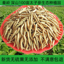 Pseudostellaria japonicum 500g natural Qinling non-wild super pure childrens non-sulfur Chinese herbal medicine