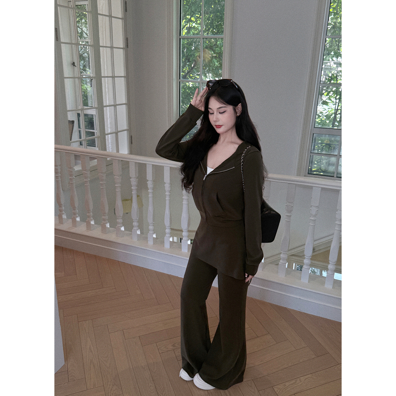 Plus-Size Women's Clothing for Chubby Girls: Short Zip-Up Hoodie with Faux Two-Piece Skirt Pants, Casual Pants, Slimming Set