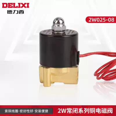 Delixi solenoid valve water valve 220V normally closed switch valve air valve 12 electric valve water control valve 24 water pipe electronic valve