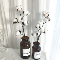 Kapok brown bottle set soft Nordic simple style literary creative gift real flower dried flower girl heart Cotton