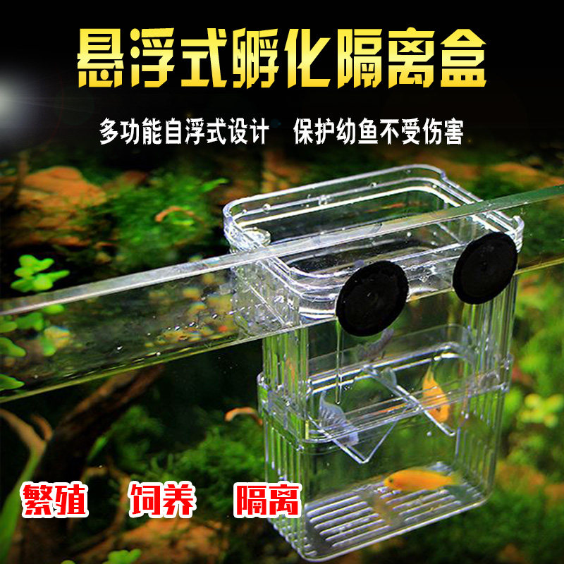 Suspension multifunctional isolation box peacock production box ornamental fish egg incubator breeder