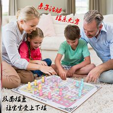 Шахматы и шашки на магните 儿童掷筛子游戏棋迷宫木制亲子棋类游戏桌跳跳棋玩具棋桌面互动