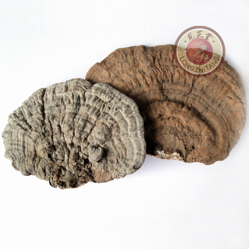 Authentic Natural covered Ganoderma Lucidum Linzhi Ganoderma Lucidum health care 250g pack