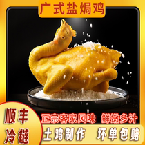 (Freighted by SF Express) Authentic Meizhou salt-baked chicken whole Guangdong Hakka specialty Baorongfeng ready-to-eat salt bureau chicken