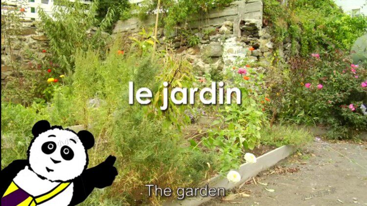 法语启蒙 幼儿 儿童零基础法语启蒙动画片 Little pim french 法语学习素材