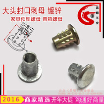 Inner and external dental nut Zinc alloy punch blind hole inner and outer tooth sealing spike nut furniture pre - buried nut M6