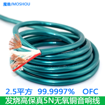 Magic Beast P-250 Oxygen-free Copper Speaker Wire Horn Line Home Cinema Engineering Line Wraparound Line 2 5 Square 5N OFC