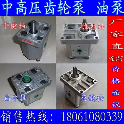 CBJ-E325 high pressure gear oil pump CBN-F325 gear pump CBT-G325 hydraulic oil pump FEL2 FER2