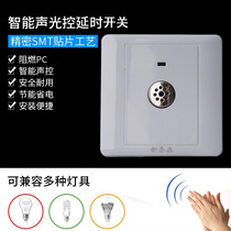 Type 86 concealed corridor Induction delay incandescent lamp energy-saving lamp second-line sound and light control switch led voice control panel