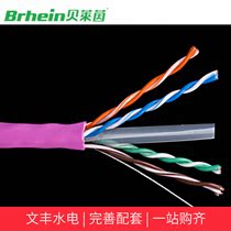 Beleine bn3018 high performance six categories with cross network cable home decoration network cable oxygen-free copper pure copper core
