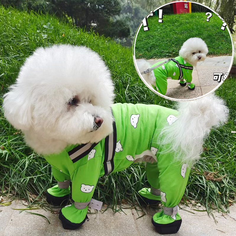 New Spring and Autumn Pet Hairless Cat and Dog Jumpsuit with Four-Legged Design, Cute Printed Clothing for Teddy, Bichon, and Small to Medium-Sized Dogs, with Leash Attachment