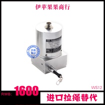 ASM Pull Rope German Import Substitution WS12 to sample customised