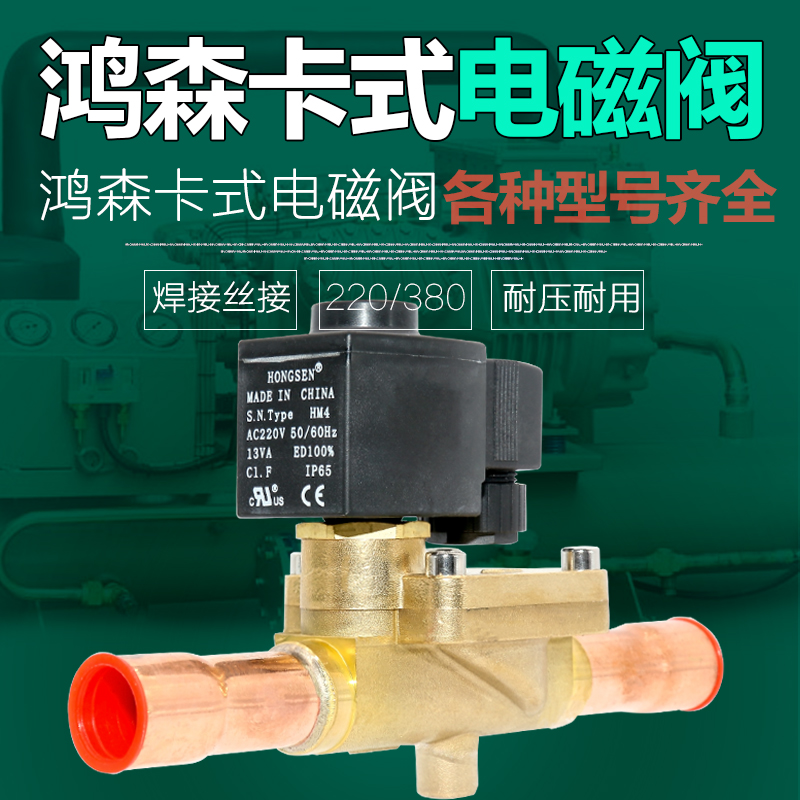 Hongsen Kasertostyle Refrigerated Depot Central Air Conditioning Solenoid Valve Electromagnetic Divia Valve Screw Mouth Welding Solenoid Valve