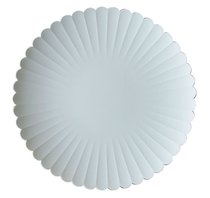 Japan imported 1616 arita Yaki matte texture ceramic dessert plate dinner plate boxed chrysanthemum dish