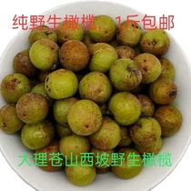 1 kg now off fresh wild Yunnan Olive olives fruits Sour Fruits Pregnant Women Sour Fruits Gano Oil Ganzi Candied Fruit Brew