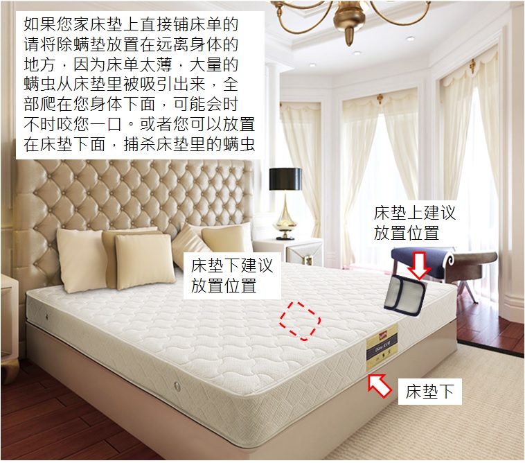 xịt muỗi raid Ngoài pad xịt nhà để duy trì an toàn diệt côn trùng không độc hại chính hãng 祛 thay thế ký túc xá - Thuốc diệt côn trùng bình xịt muỗi loại nào tốt