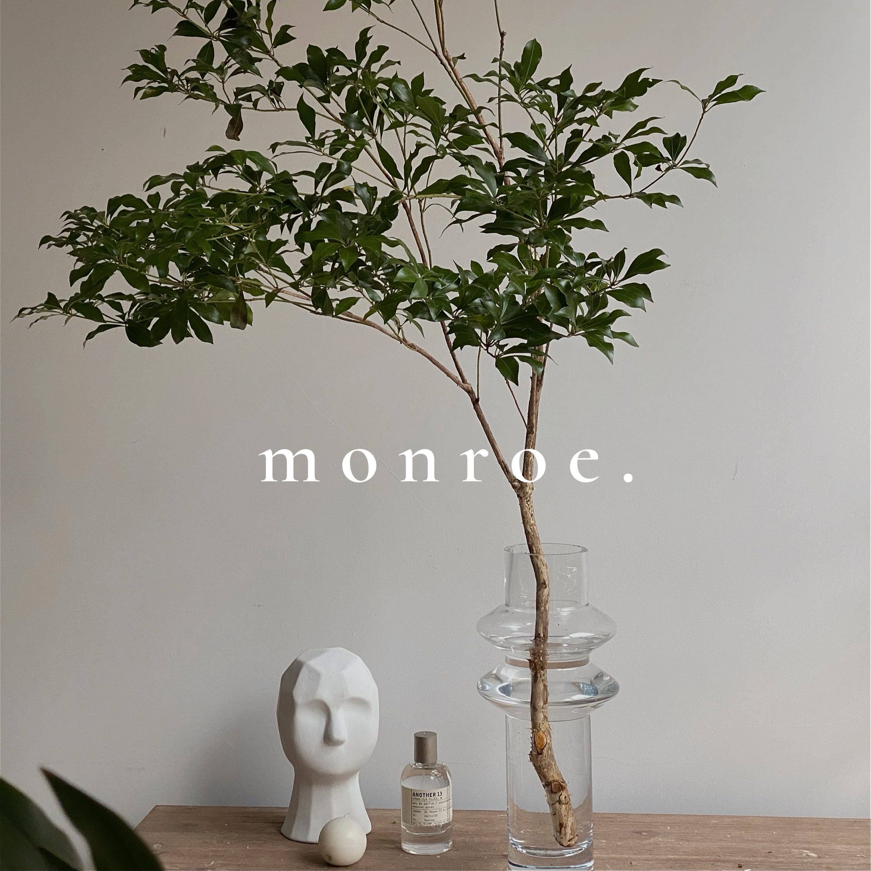 Dream Deer Studio Transparent Glass Vase Horse Drunk Wood Hanging Bell Floral Pendulum Pieces Table Flowers Decoration Minima Flower Arrangement