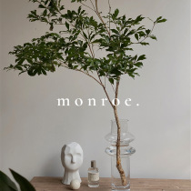 MONROE dream deer studio new glass vase horse drunken wood flower Ware ornaments dining table flower arrangement