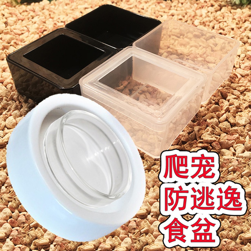 Reptile pet large and medium-sized anti-escape hamster food basin drinking basin turtle guarding palace mane lion glass snake hermit crab bath tub