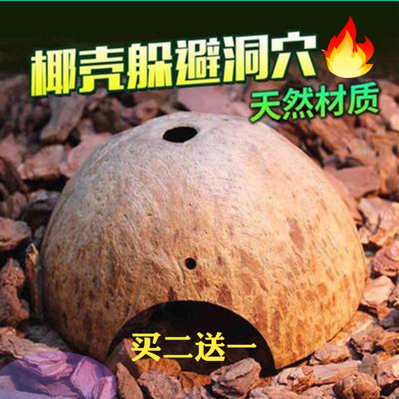 Coconut shell avoid cave natural house spider scorpion crawling pet hermit crab scorpion guarding snake yellow edge turtle reptile landscaping