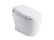 Carli integrated smart toilet toilet instant hot type 21965T 21966T