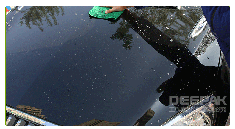 Черепаха черепаха 790_10.gif