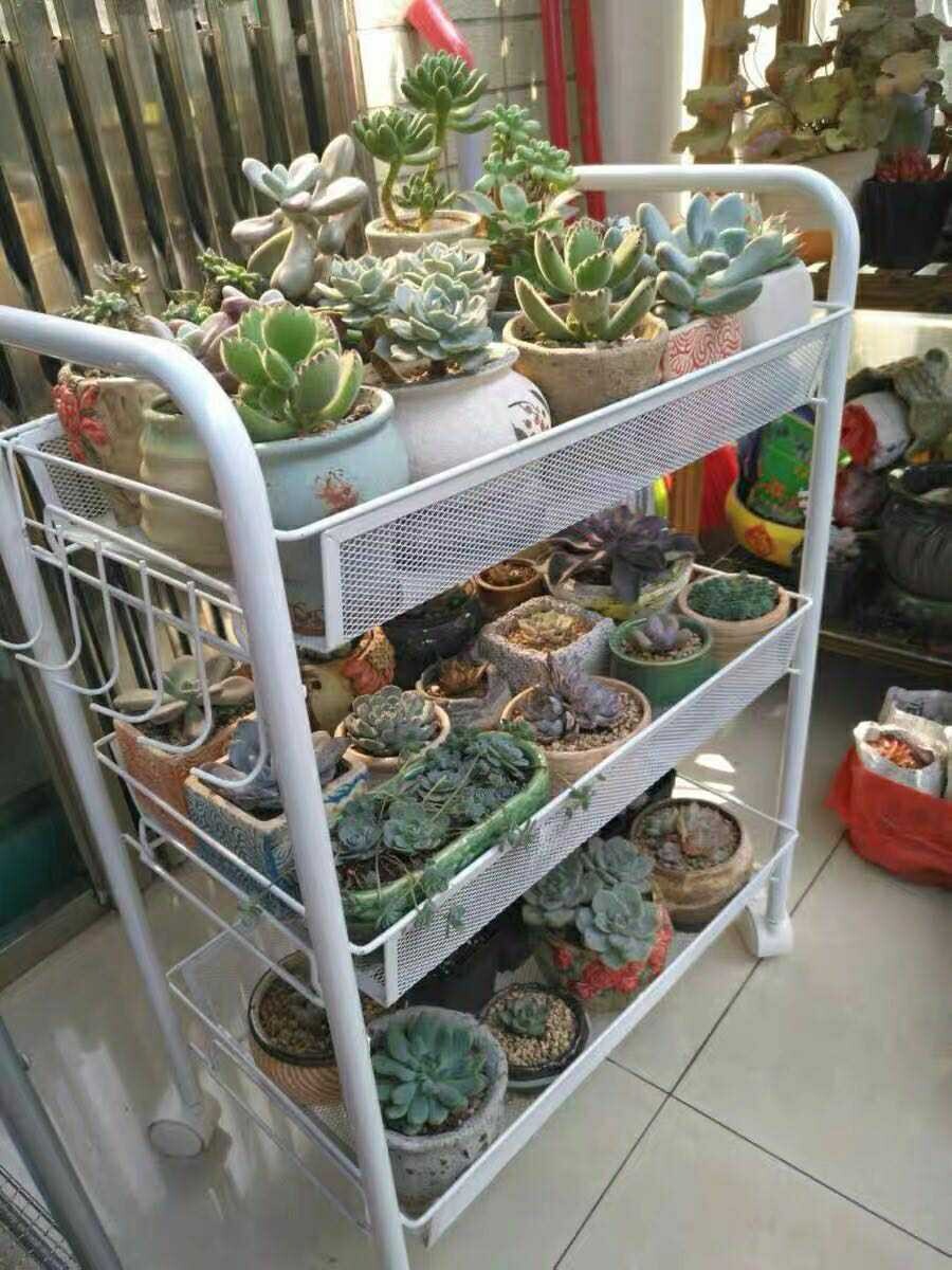 3-story fan welfare swap for multimeat stroller flowers shelf Happy New Year's Day 