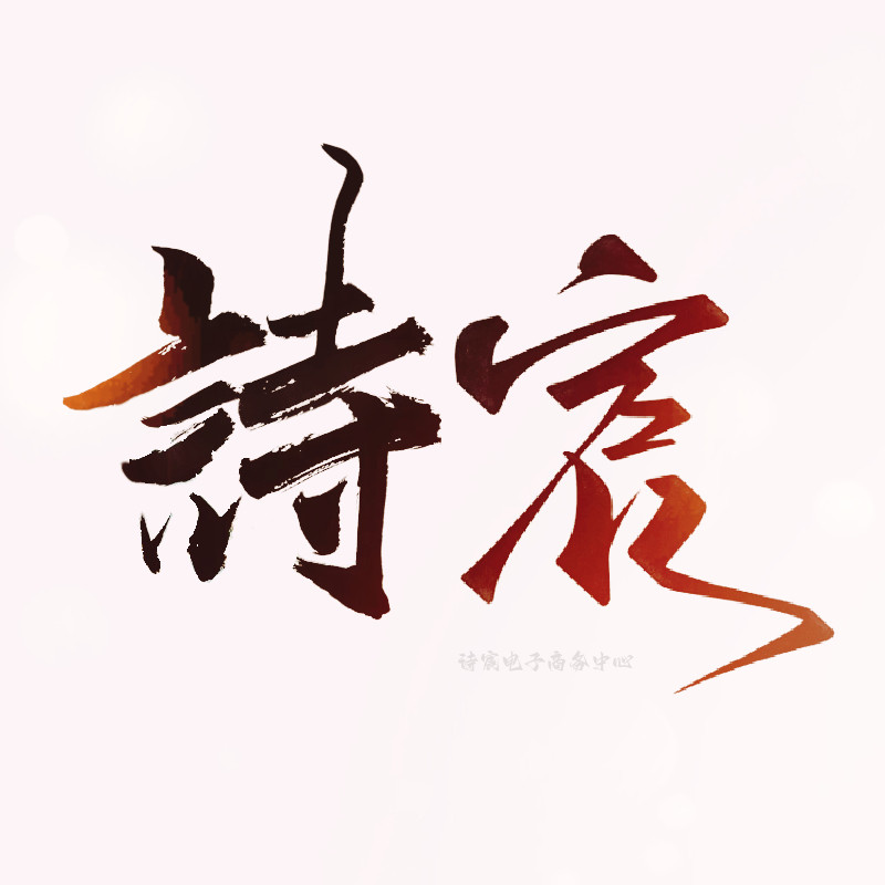 诗宸电子商务