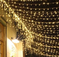 Рождественский фонарь теплый белый светодиодный светодиодный лампа рисовая лампа 10 метров с хвостовой штекерной лампой на открытом воздухе водонепроницаем