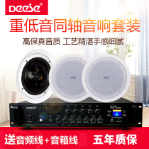 Danish Dr. Dynaudio sound coaxial bass ceiling speaker Bluetooth suspended ceiling speaker smart speaker