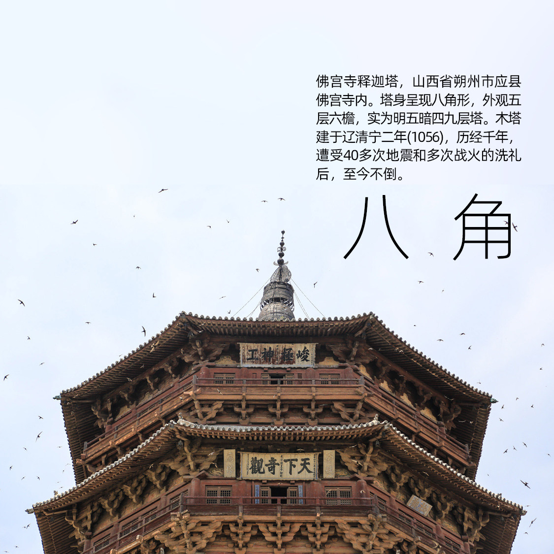 【光影堂】十年竹剑:剑道新手进阶必备,传承武道精神的利器🌟-剑-淘宝百科网