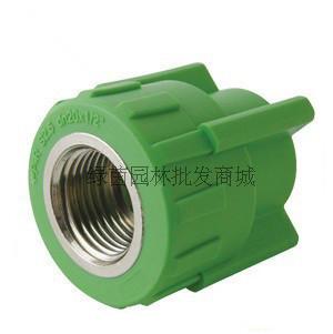 PPR pipe fittings S20*1 2F PPR cornea directly inner tooth through PPR pipe fittings