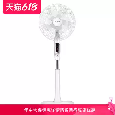 Pioneer electric fan DD1605 FS40-16ER remote control timing household floor fan 10 pages big wind lift