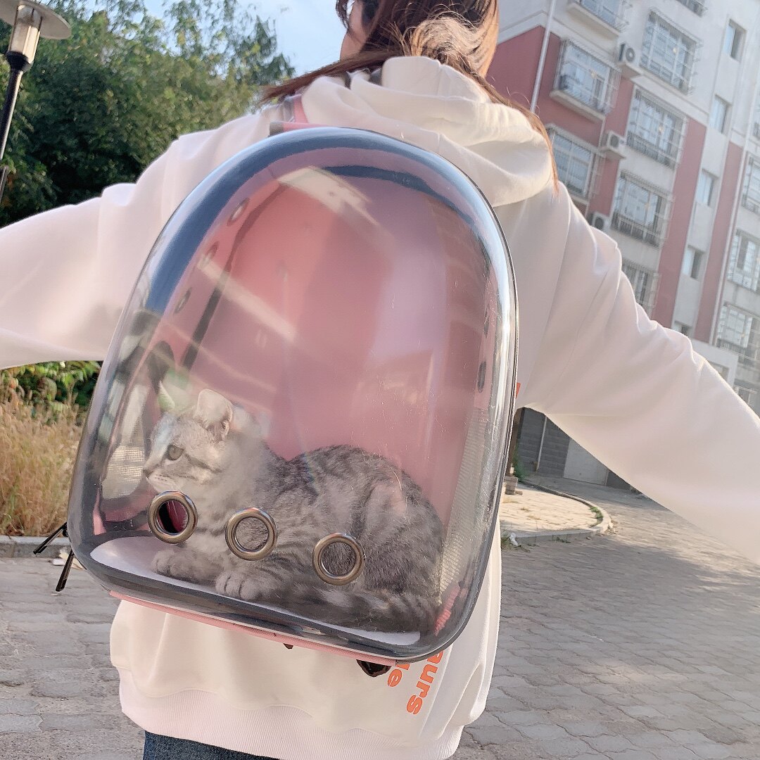 Cat outsourcePortable Cabin Pet Catty Backpack shoulder bag outbag breathable dog small large capacity