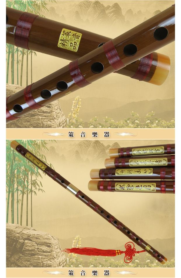 Sáo đôi hai phần chèn đắng tre tinh chế chơi nhạc cụ mới bắt đầu với phụ kiện phim hộp treble dễ thổi âm thanh sáng - Nhạc cụ dân tộc đàn tì bà