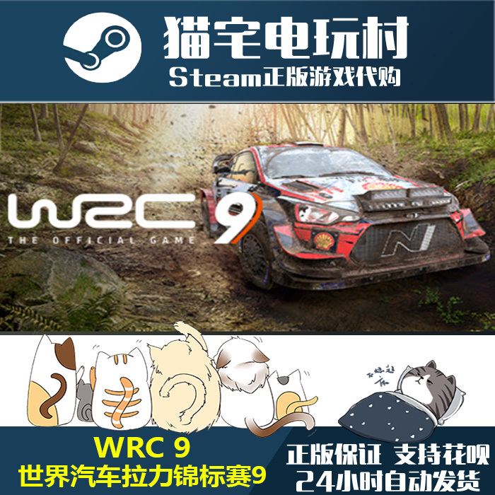 Steam Wrc 9 World Rally Championship 9 Genuine Activation Code Cdkey