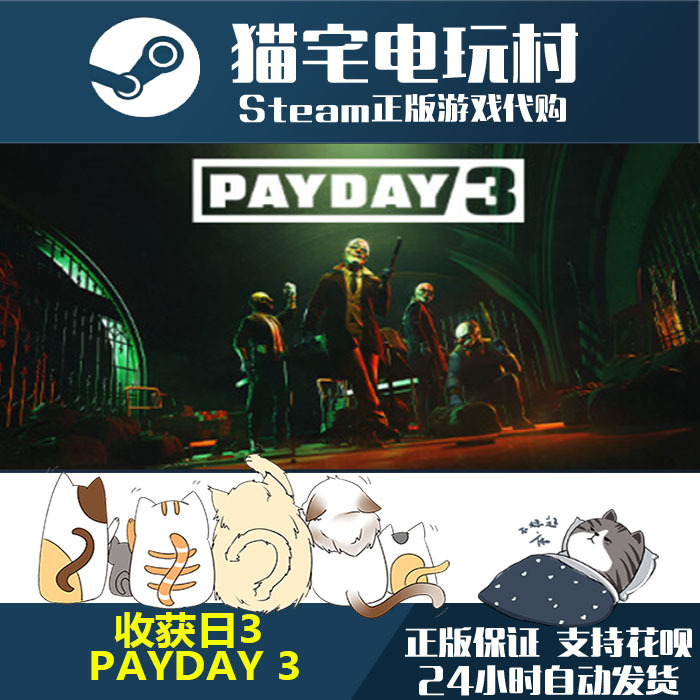 Steam Genuine Version Payday 3 Activation Code Cdkey for Mainland China Ip Login Only