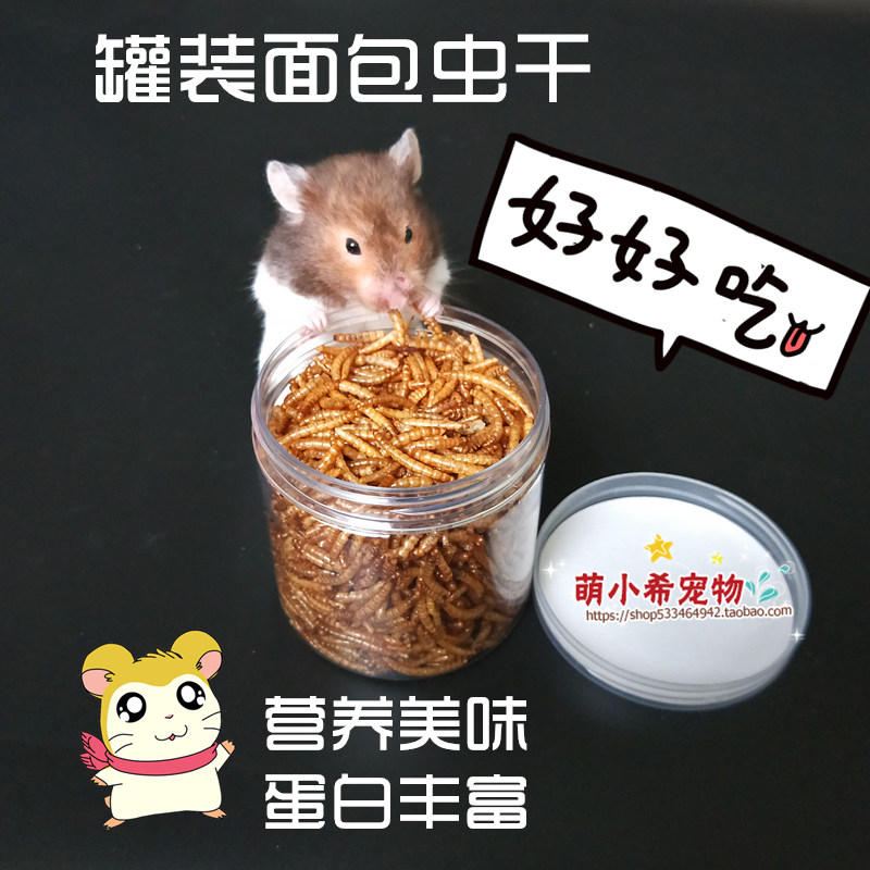 Hamster hedgehog bread worm dry yellow mealworm golden bear high protein turtle food bird feed canned snacks during pregnancy