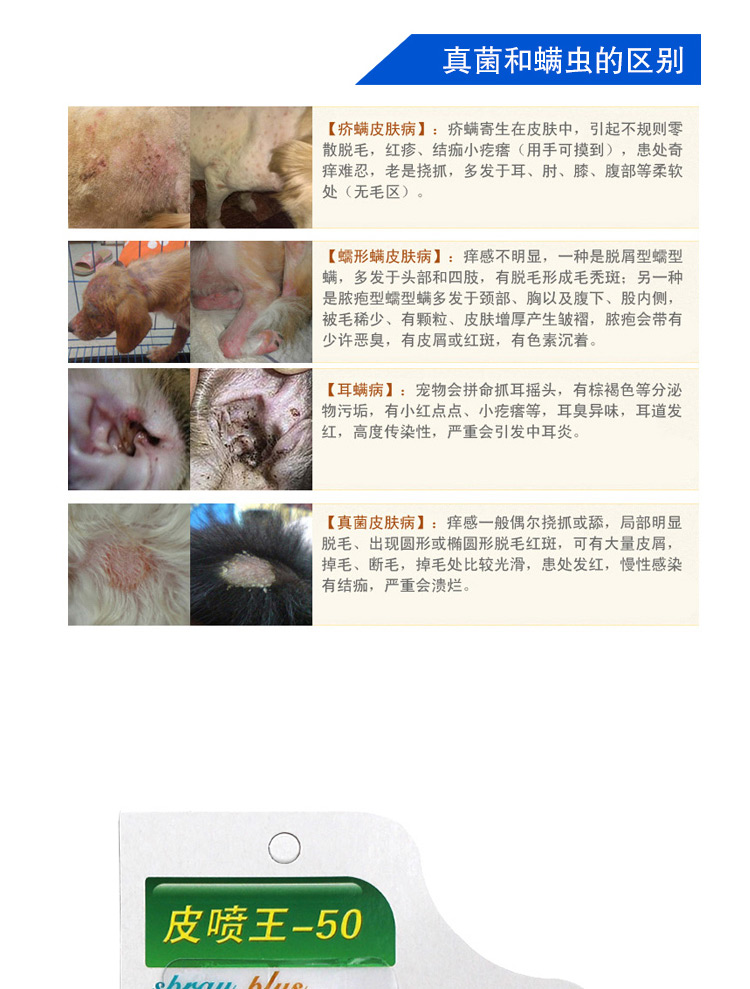 Xịt da vua 50 con chó mèo nấm da viêm vi khuẩn eczema pyoderma mèo gàu mèo bệnh da phun - Cat / Dog Medical Supplies xi lanh thú y