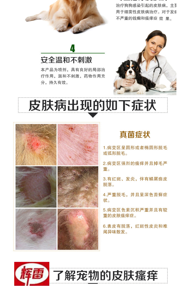 Xịt da vua 50 con chó mèo nấm da viêm vi khuẩn eczema pyoderma mèo gàu mèo bệnh da phun - Cat / Dog Medical Supplies xi lanh thú y