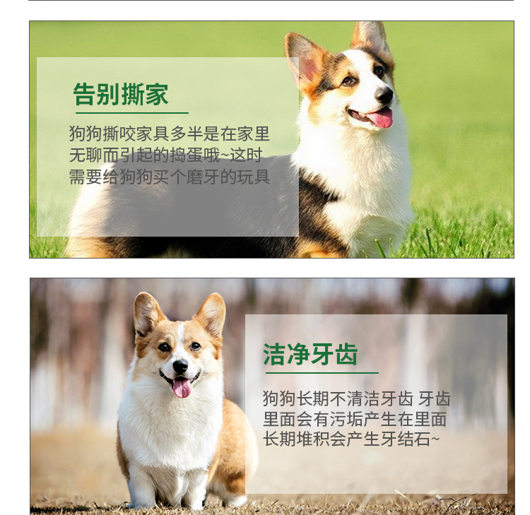 Pet cao su mol mol cắn mèo Teddy cún cắn keo hơn gấu tương tác đào tạo cung cấp đồ chơi con chó con đồ chơi cho chó cắn